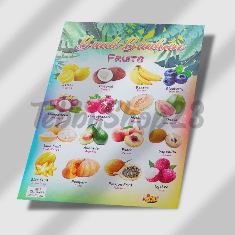 poster buah dan hewan