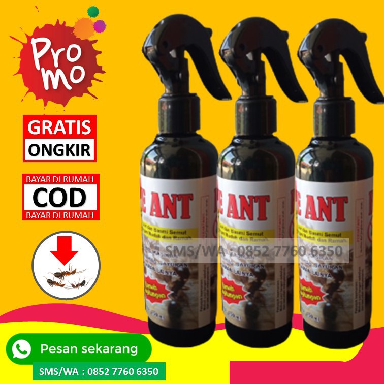 OBAT PEMBASMI SEMUT RACUN ANTI KOLONI SEMUT PALING AMPUH UNTUK RUMAHAN DAN TANAMAN  250ML