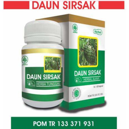 

Daun Sirsak Obat Kanker Tumor dan Antioksidan Herbal Indo Utama