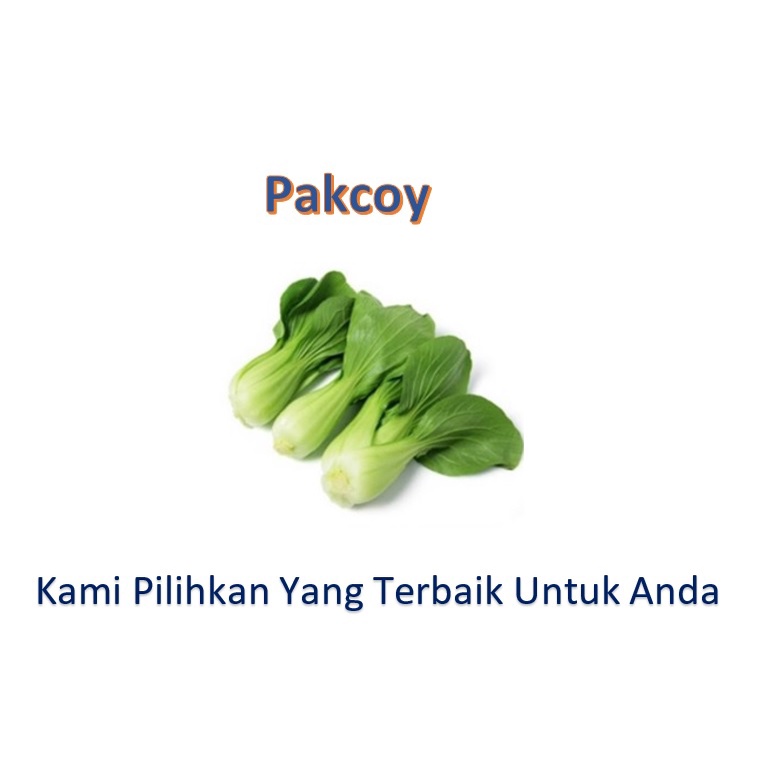 

Pakcoy / Pakcoy Segar / Sayur Segar / Sayur Bumbu