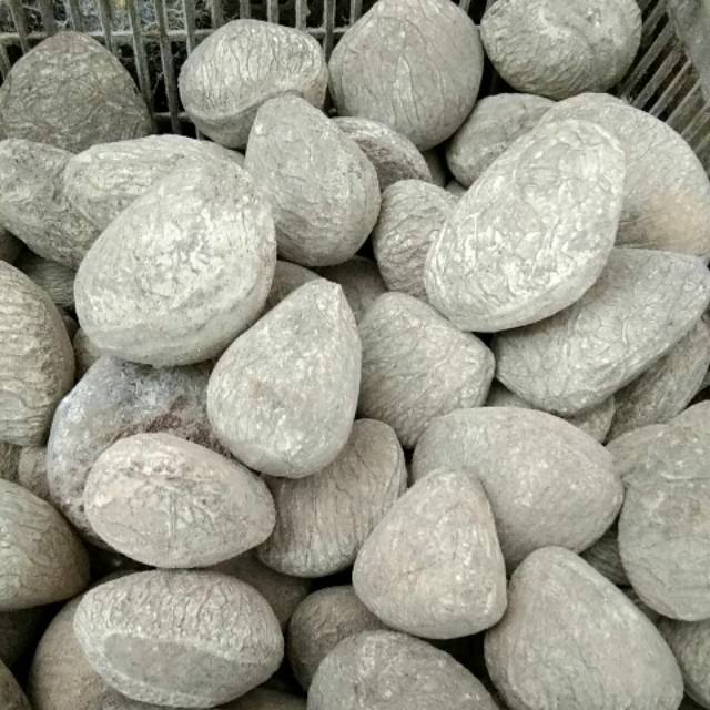 

Kepayang / Keluak 1buah