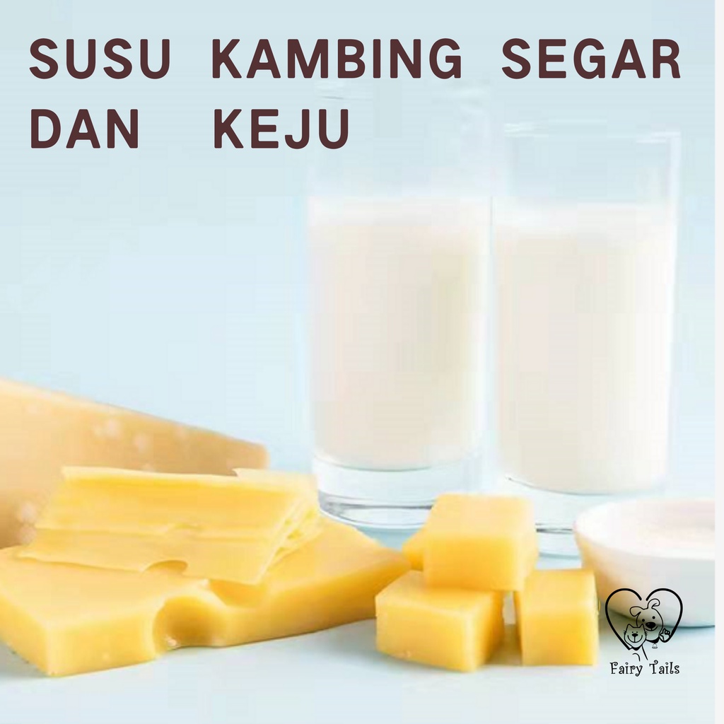 [ORIGINAL] Snack Kalsium Susu Kambing Untuk Anabul Anjing dan Kucing 100 gr Treat Tablet Cemilan Sehat Susu Kambing Segar / Pet Cat and Dog Food Snack Calcium Goat Milk | Makanan Fresh Meat