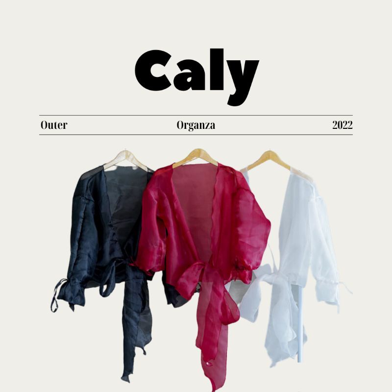 Caly Outer Organza / Outer / Organza / Blouse Organza