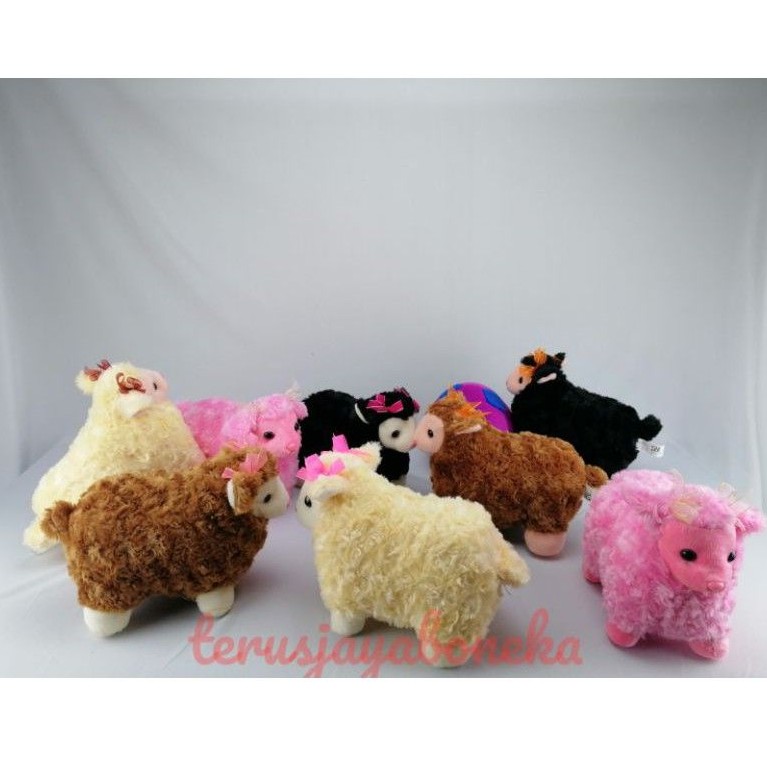 boneka domba kecil