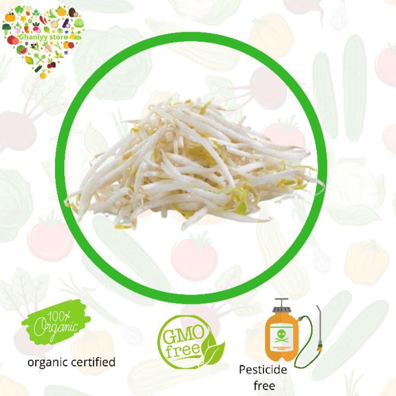 

sayur organik - tauge 250 gram