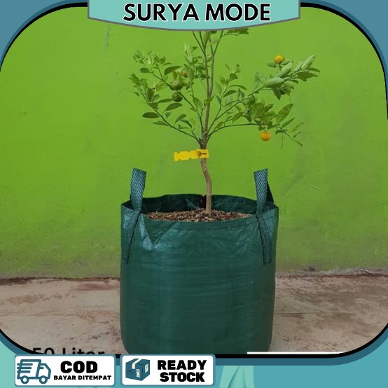 planter bag malang planter bag tabulampot ukuran 35 Liter