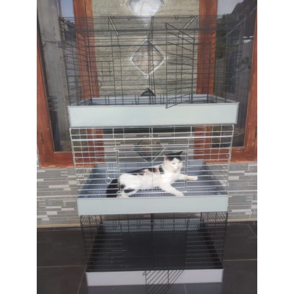 Kandang Kelinci Galvanis