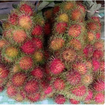 

Buah Rambutan Merah Manis Segar Fresh Murah