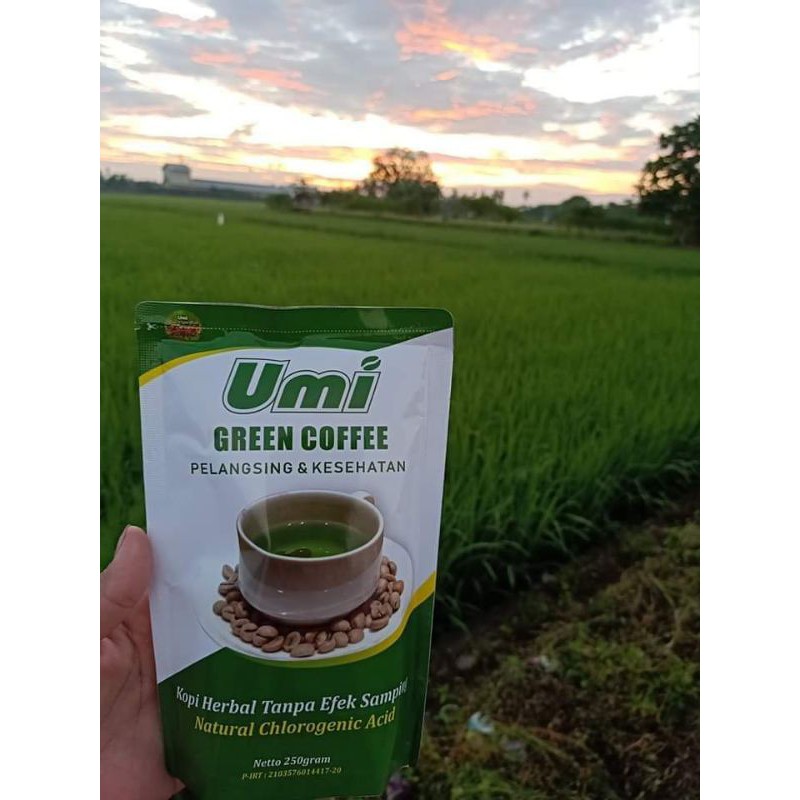

umi green coffee