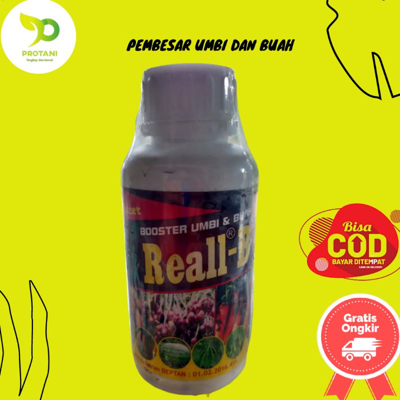 ZPT V-REAL B 500ML / PEMBESAR UMBI DAN BUAH / PERBANYAK ANAKAN BAWANG MERAH