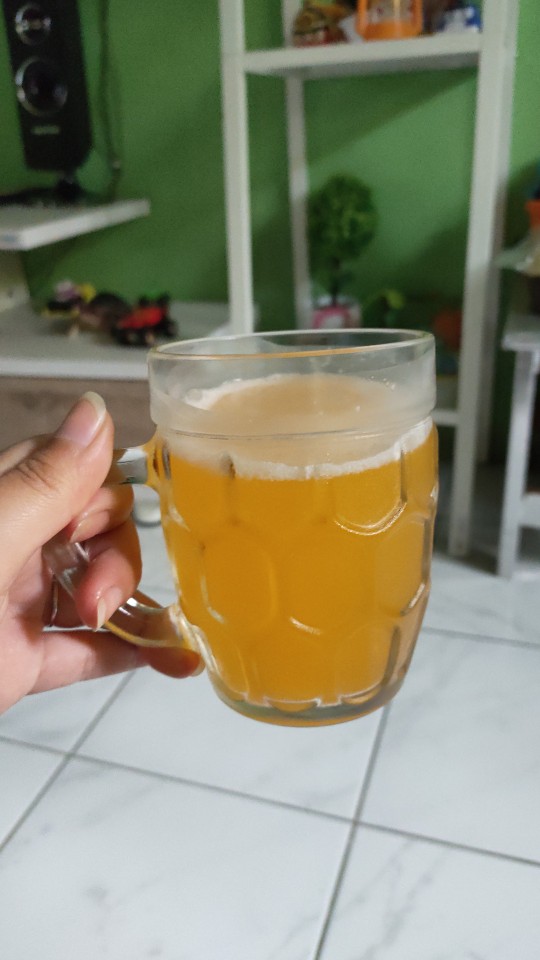 Toppas Pelicin Setrika 500ml