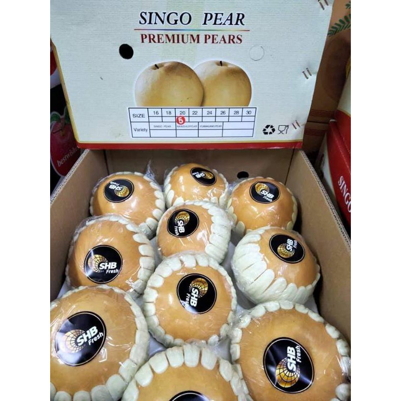 

SINGO PEAR