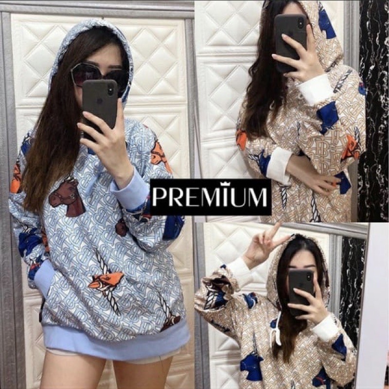 hoodie burberry import