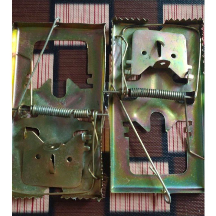 Jebakan Tikus  / Perangkap Tikus Murah