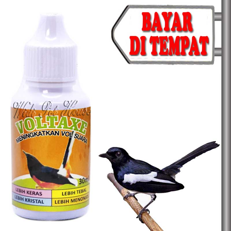 Vitamin Suara Burung Obat Penggacor Voltaxe