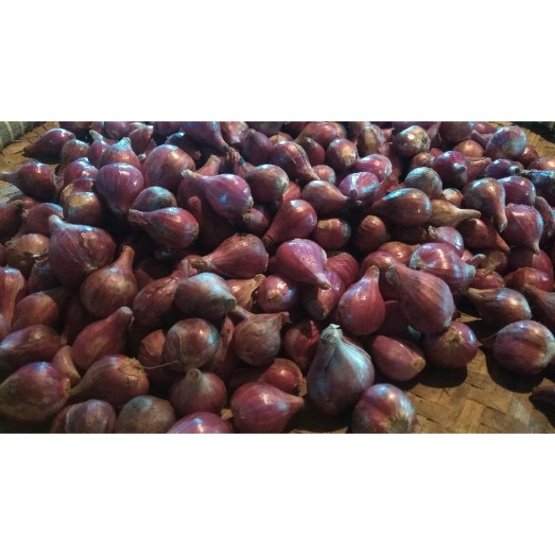 

bawang merah,bawang fresh,bawang segar 250gram