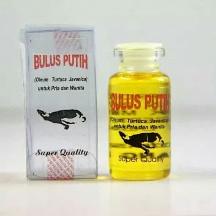 MINYAK BULUS PUTIH HERBAL ORIGINAL 100% - Memperbesar dan Mengecangkan Payudara dan Organ Pria  Serb