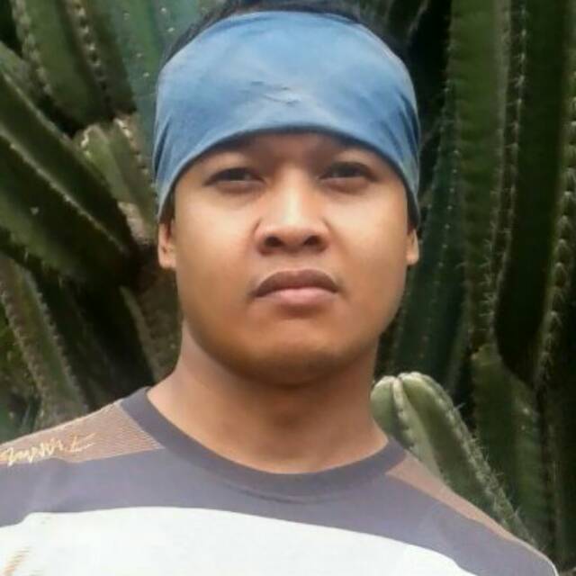 aribanderas
