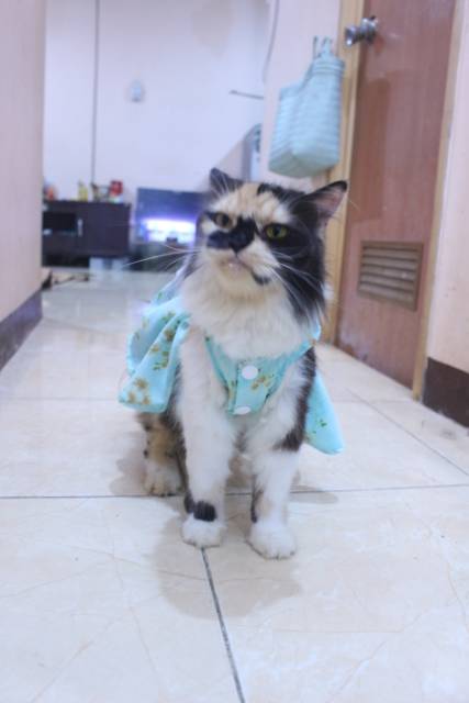 Dress satin toska motif bunga lucu untuk kucing dan anjing / baju kucing murah size S-XL