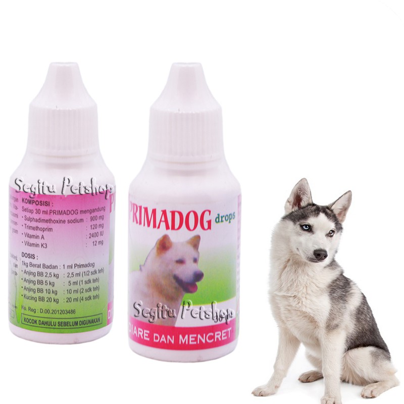 OBAT DIARE ANJING SAKIT PERUT PENCERNAAN MENCRET PRIMADOG