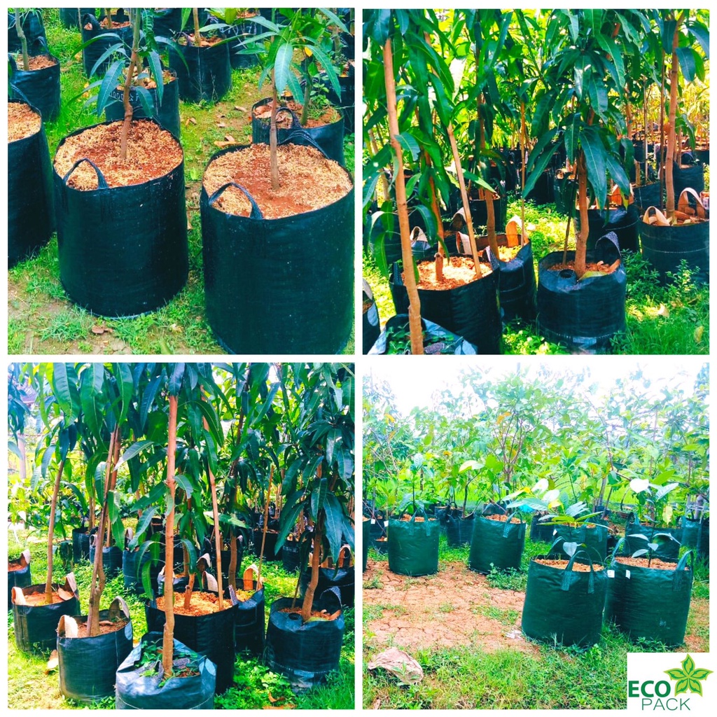 Planter Bag Eco Pack 20 35 50 75 Liter Original HDPE Hijau Tabulampot