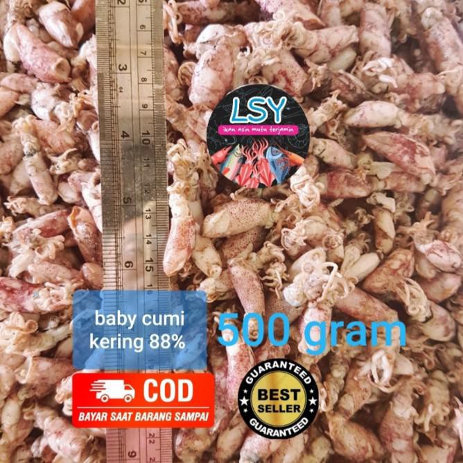 

Terhot! Ikan Asin Baby Cumi / Cumi Rebus 88 500Gr *