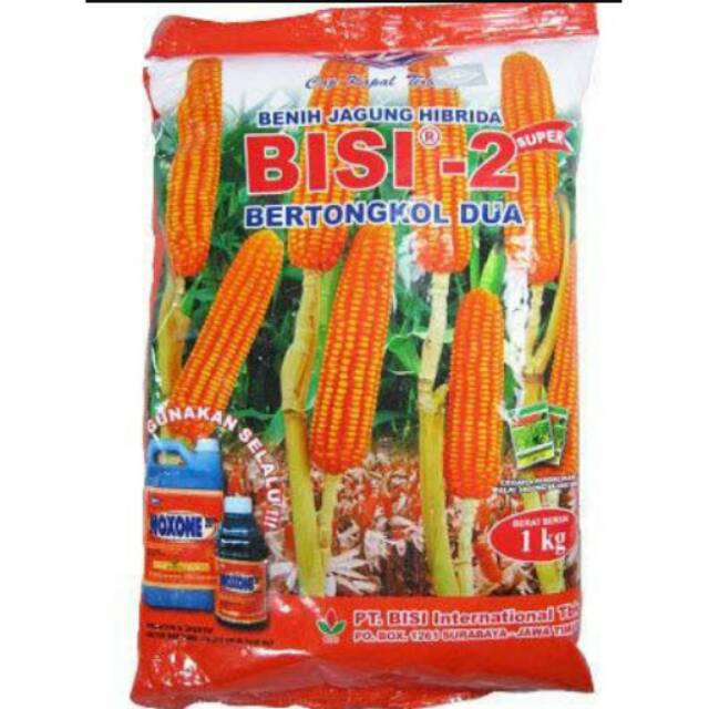 Bibit jagung Bisi - 2 1kg bertongkol 2 kapal terbang TMT