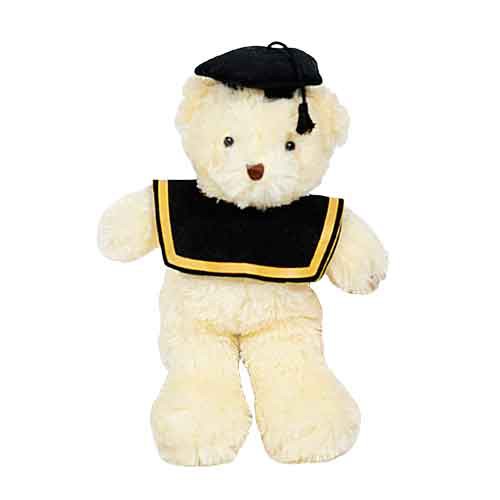 Boneka Wisuda Beruang Teddy Bear Istana Boneka Bear Nad Toga Lucu SNI