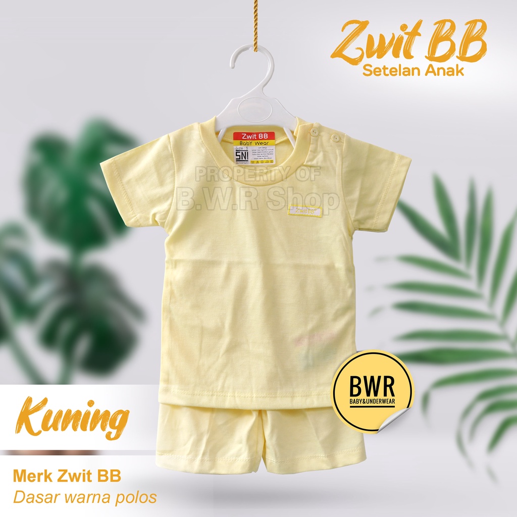 Setelan Zwit BB PENDEK WARNA POLOS / Setelan Anak Bayi Unisex Kaos Celana Pendek | Bwr