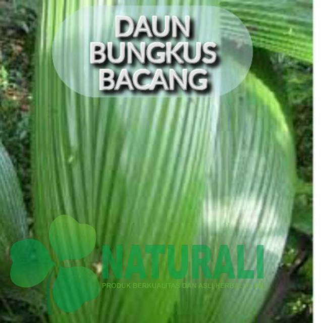 

Bahan bungkus bacang/ bakcang 1kg daun curculigo/marasi/congkok segar