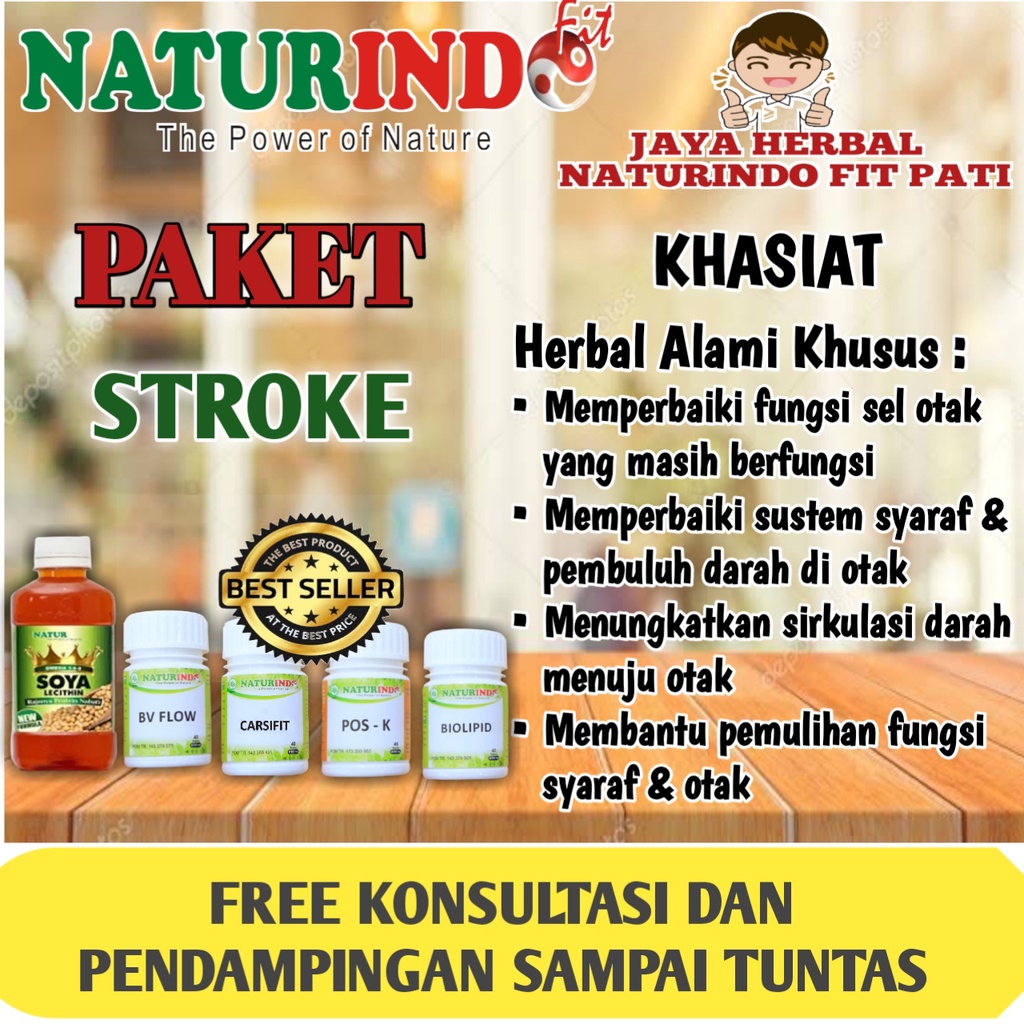 OBAT STROKE HERBAL BPOM HALAL MUI STROKE NATURINDO