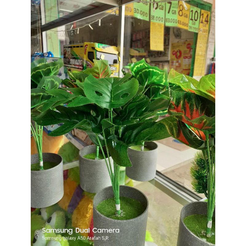 bunga plastik janda bolong