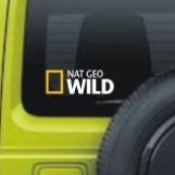 cutting sticker NAT GEO WILD stiker mobil