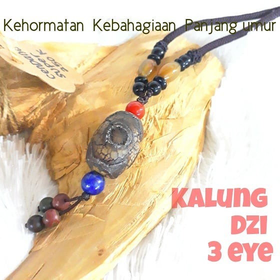 KALUNG DZI 3 EYE DRAGON SKIN