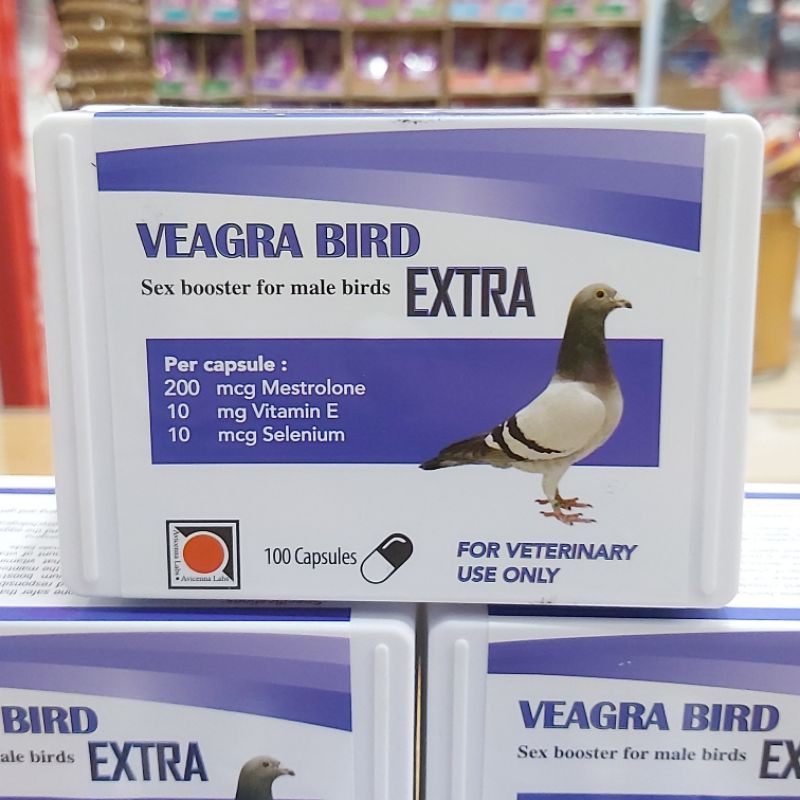 Veagra Bird Extra Capsule 100pcs Vitamin Singing Burung / Sexual Booster Male Bird 1 box