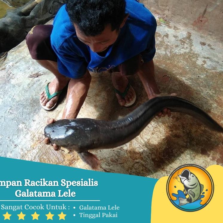 Umpan Pancing Mancing Galatama Gt Harian Lomba Ikan Lele Ikan Mas Ikan Bawal Patin  Siap Pake 