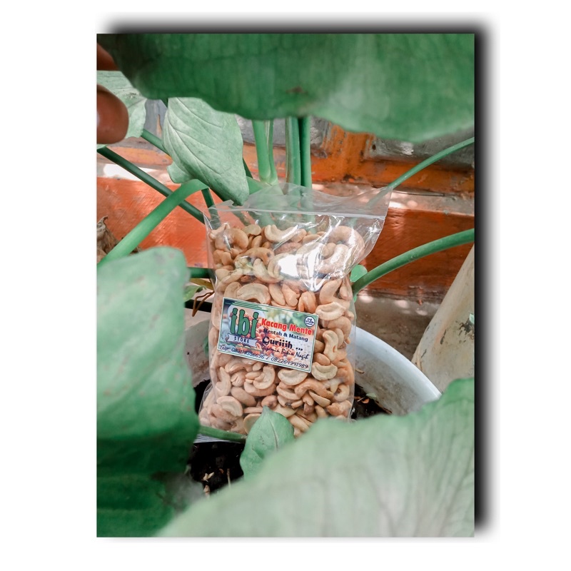 

Kacang Mente