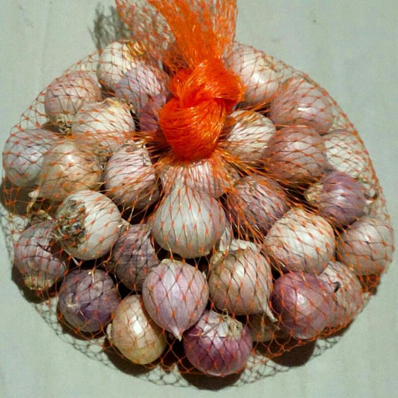 

Bawang tunggal tanggung 1kg