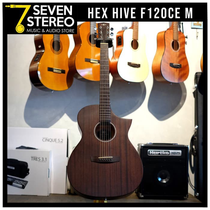 HEX Hive F120 CE M Acoustic Electric Guitar