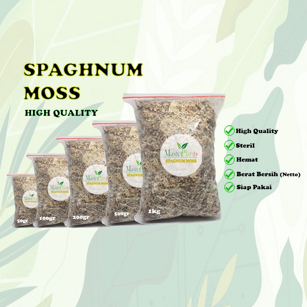 Spagnum Moss Kering Berkualitas / Media Tanam Spagnum Moss / Spagnum Moss Siap Pakai