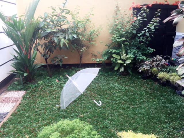 Payung Transparan Import Gagang Crome