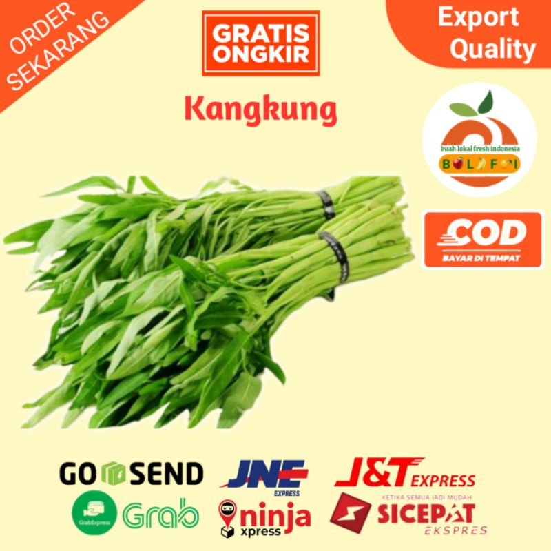 

SAYURAN KANGKUNG FRESH PER SATU IKAT ( 100-150gram )