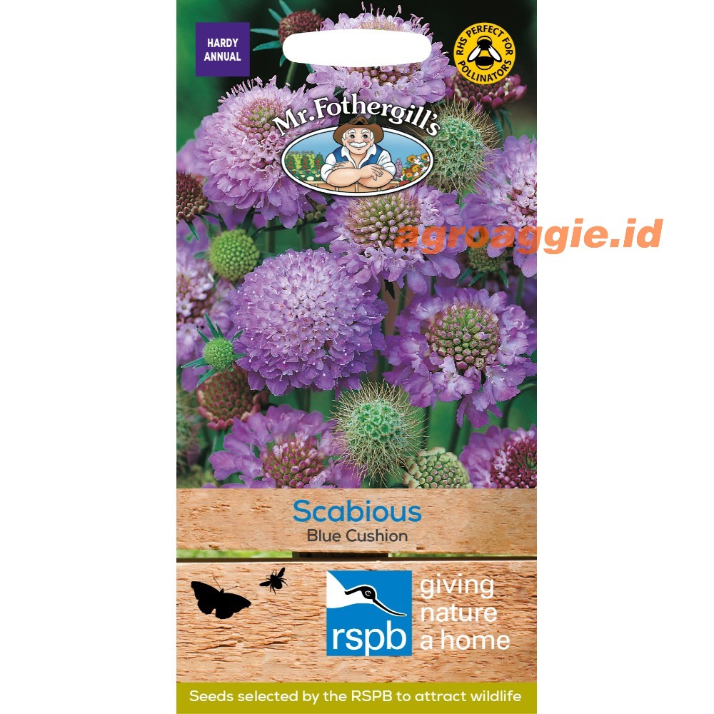 

Benih SCABIOUS Blue Cushion Mr. Fothergill's