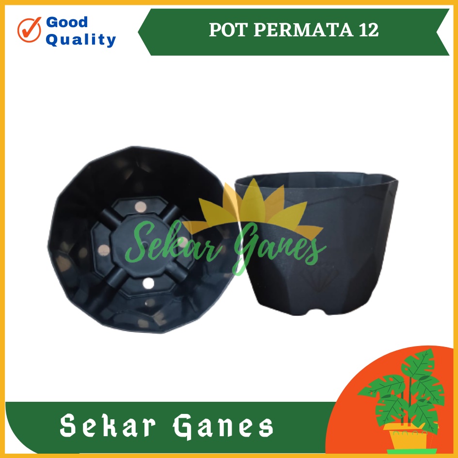 Pot Permata 12 Hitam DA 10,5cm By Garden Of Love Pot Plastik Kaktus Murah Uk Mirip Pot Tawon 10cm