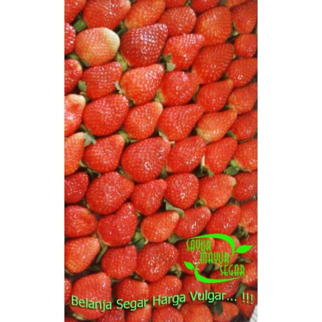 

Strawberry Premium buah Fresh dan manis
