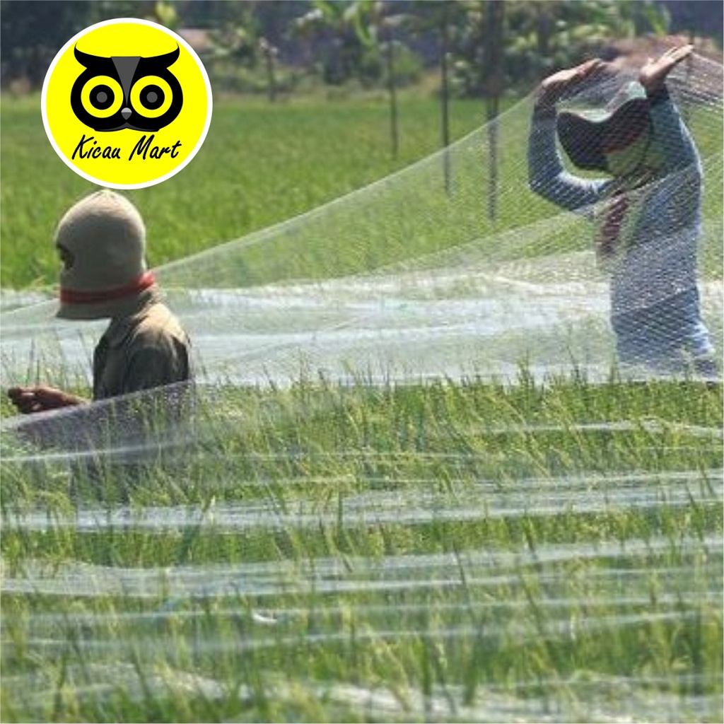 Jaring Emprit Jaring Padi Bird Net Nest Jaring Burung Pipit Perkutut Tekukur Jaring Sawah Tanaman Anti Hama 0,12 3″ 5 Md X 100 Yds