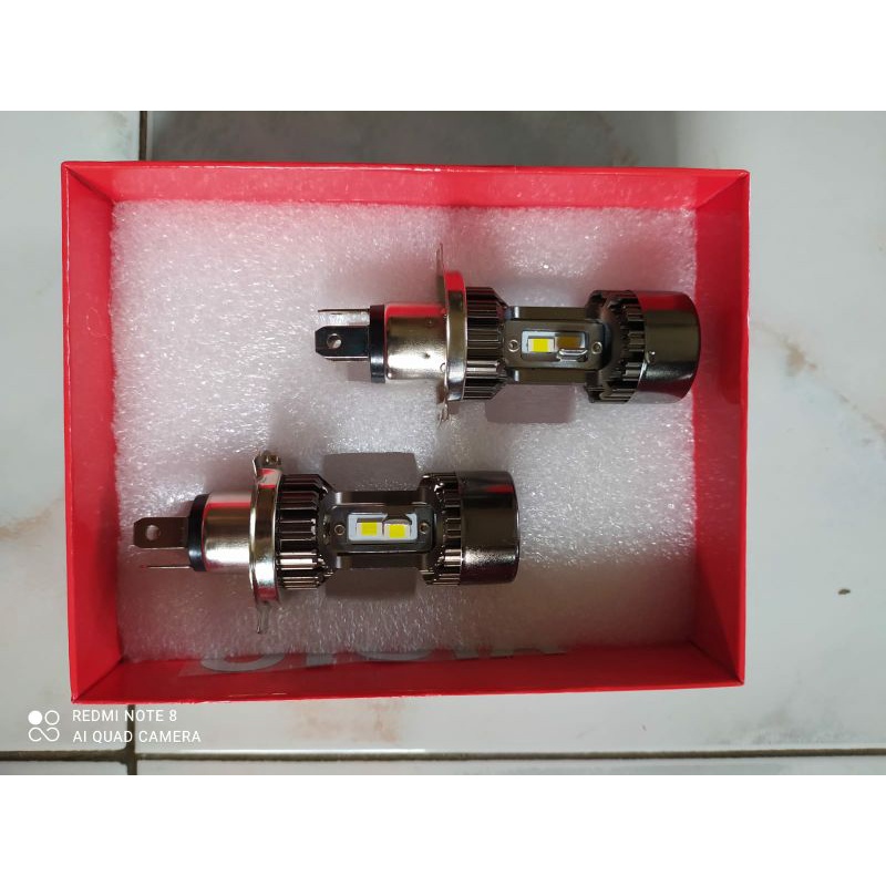 sepasang Ayoto a2 h4