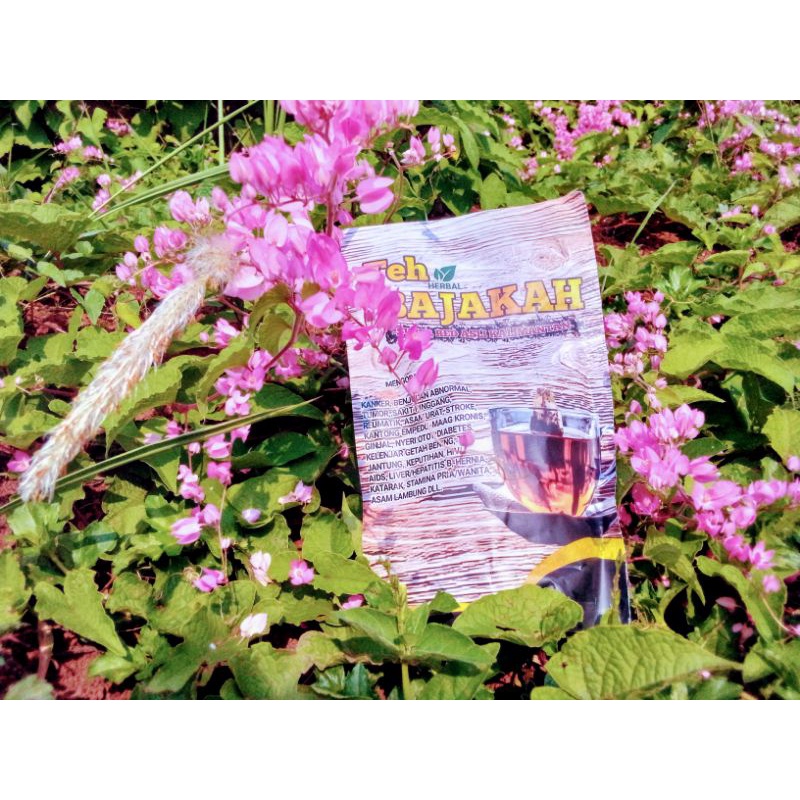 

The bajakah asli Kalimantan