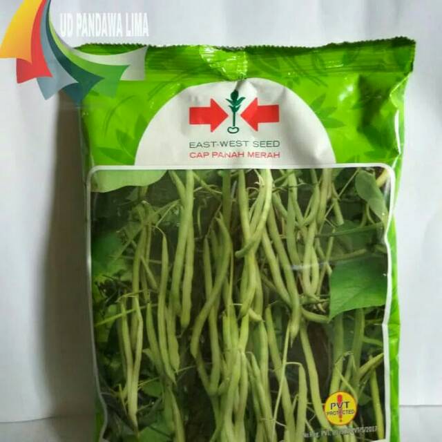 Benih buncis maxipro 500gr