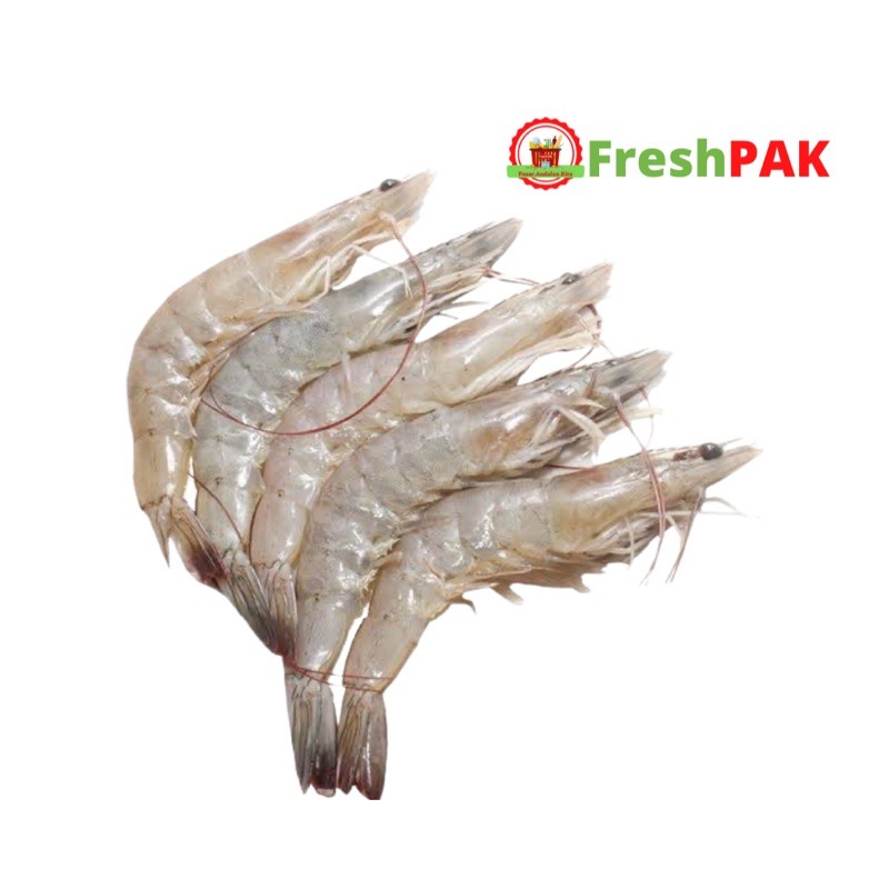 

FreshPAK - Udang Peci Segar 250gr / 500gr / Udang segar / Daging segar